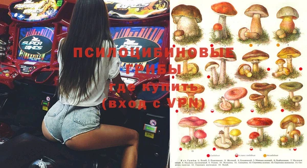 бошки Богданович