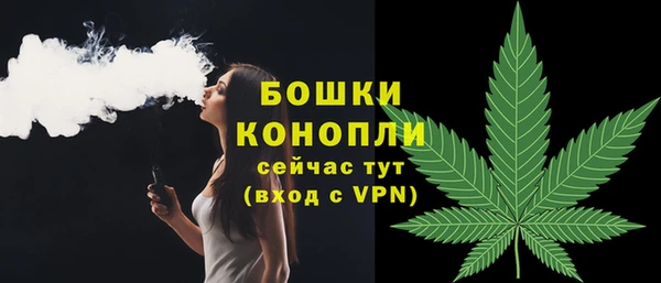 бошки Богданович