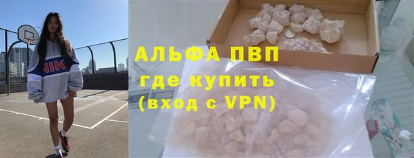 бошки Богданович