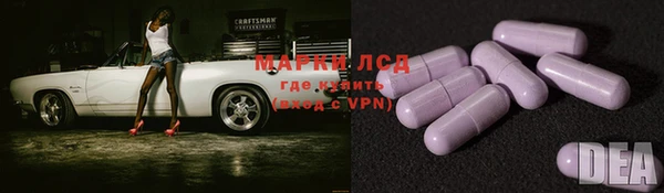 бошки Богданович