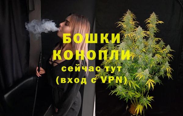 бошки Богданович