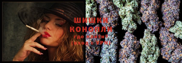 молекула духа Богородицк