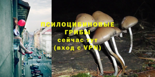 первитин Богородск