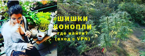 бошки Богданович