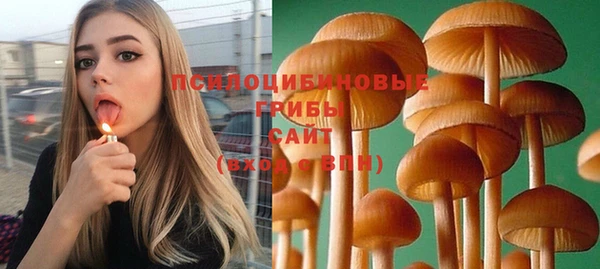 бошки Богданович