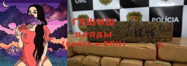 молекула духа Богородицк