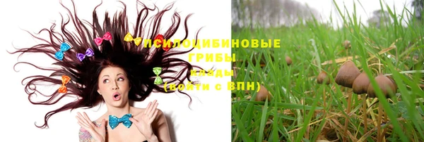 молекула духа Богородицк